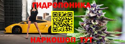 амф Славгород