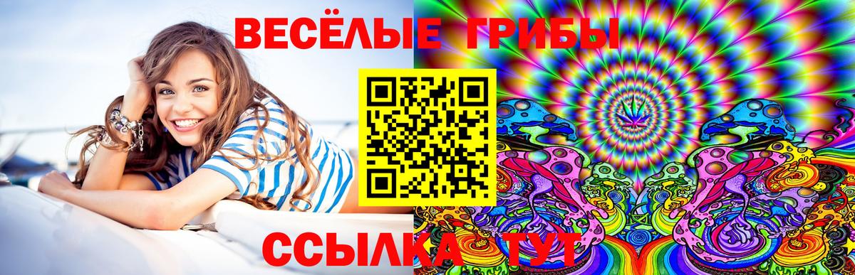 Отрадное  Галлюциногенные грибы Psilocybe  Вход с VPN  Галлюциногенные грибы MAGIC MUSHROOMS 